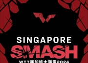 关于WTT冠军赛战况：广东男篮防线稳固，菲尼克斯太阳进攻受阻，哈登成最佳的信息